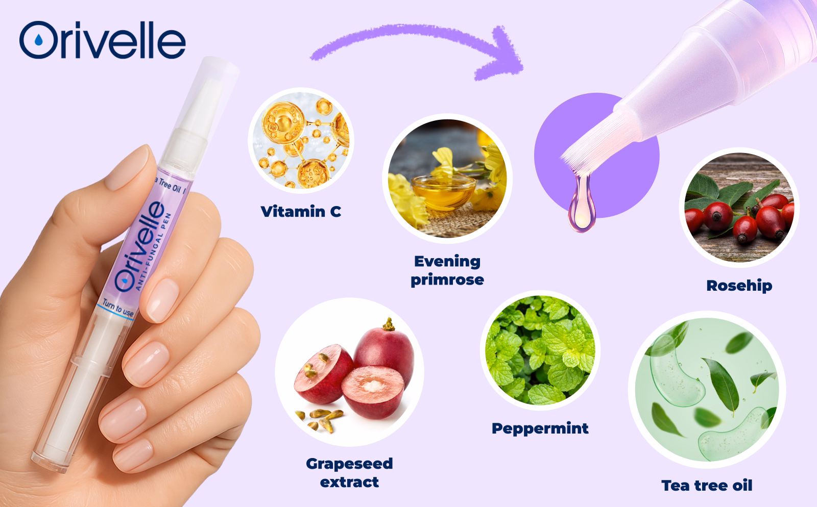 Illustration of the ingredients listed for the Orivelle pen